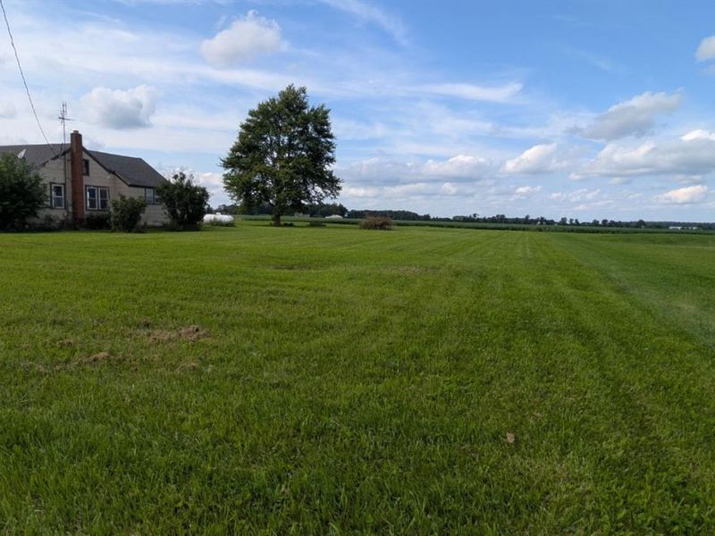 9280 Cygnet Rd., Cygnet, OH 43413 Photo 4