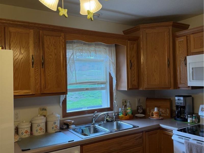 60 Woods Boulevard, Leetonia, OH 44431 Photo 6