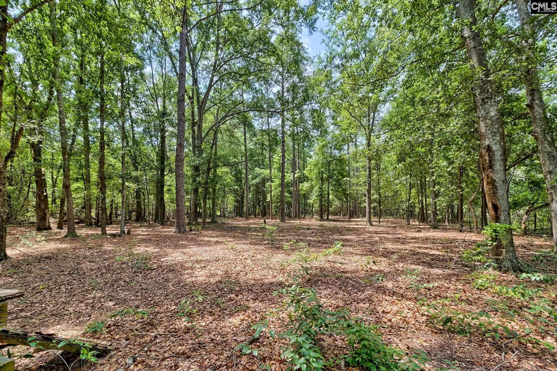 1415 Springvale Road  Photo 39