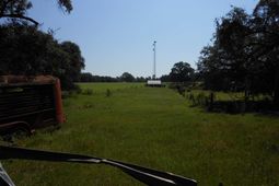 137 Old Price Road  photo 4