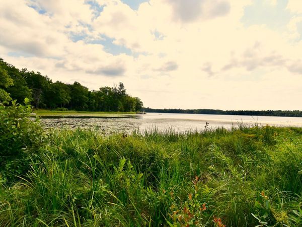 12231 Scott Lake Road, Deerwood, MN 56444
