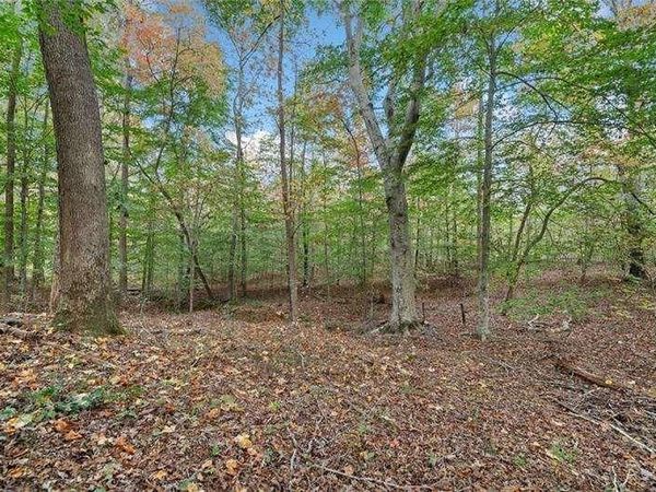 000 Ammons Drive , Waleska, GA 30183