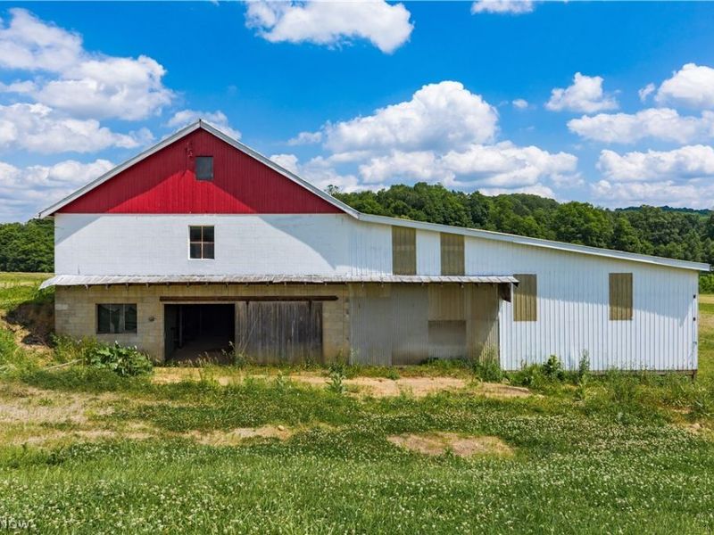 2428 Applegate Road, Lucas, OH 44843 Photo 23