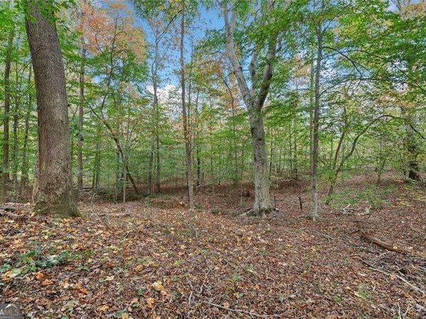000 Ammons Drive, Waleska, GA 30183