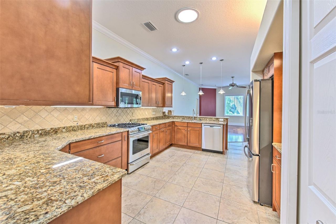 5207 Merion Rd, Valrico, FL 33596 Photo