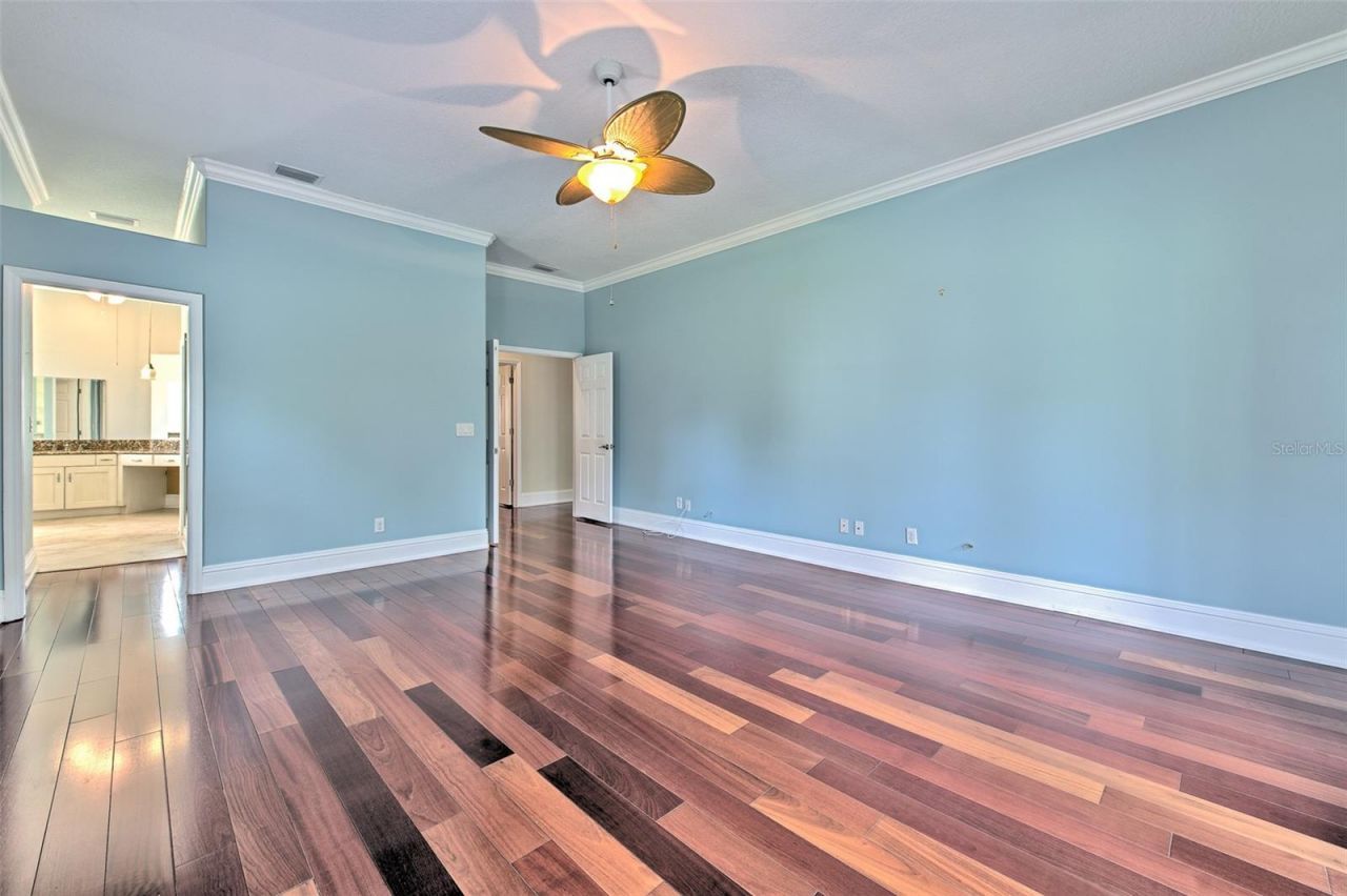 5207 Merion Rd, Valrico, FL 33596 Photo