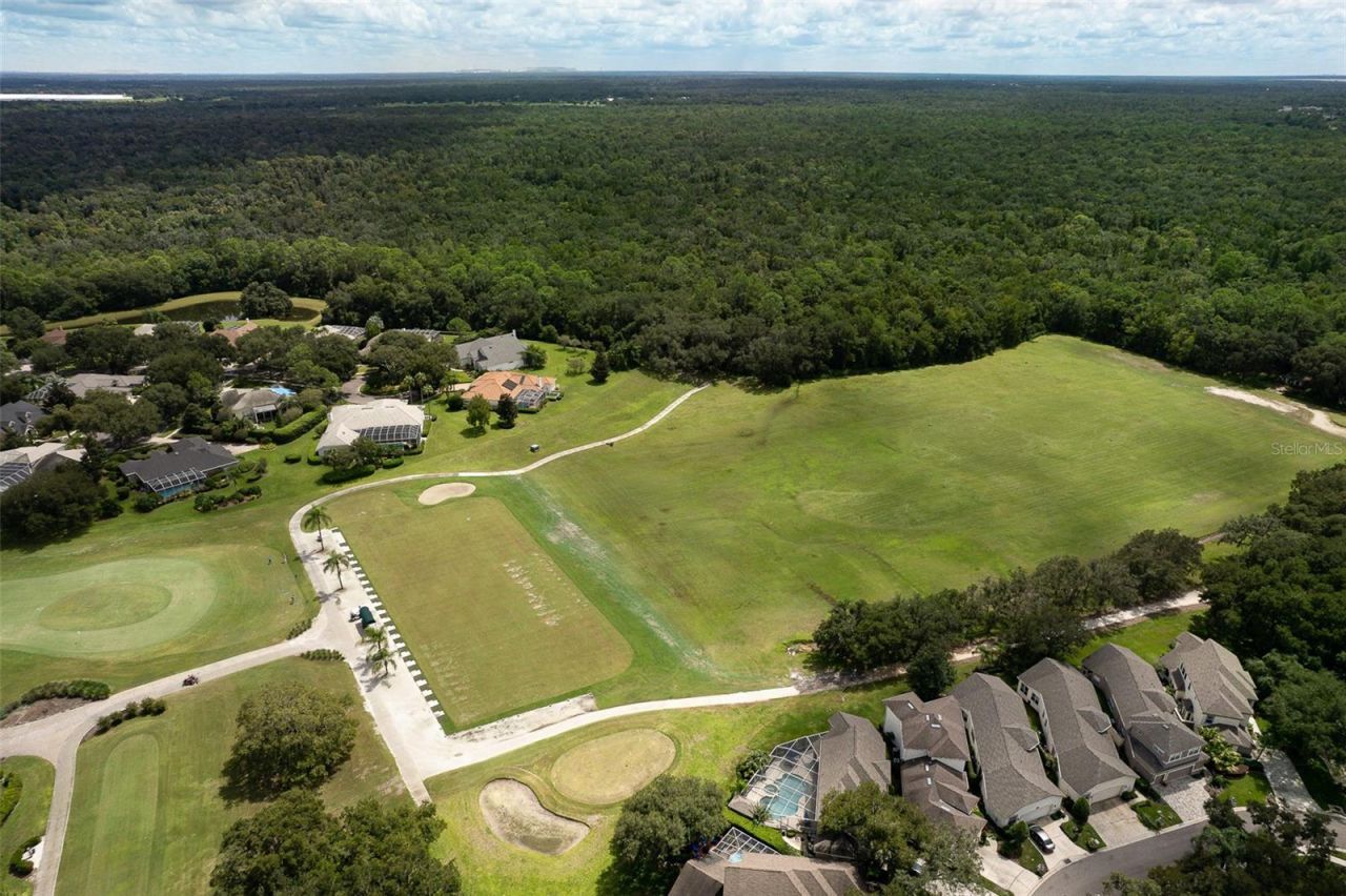 5207 Merion Rd, Valrico, FL 33596 Photo