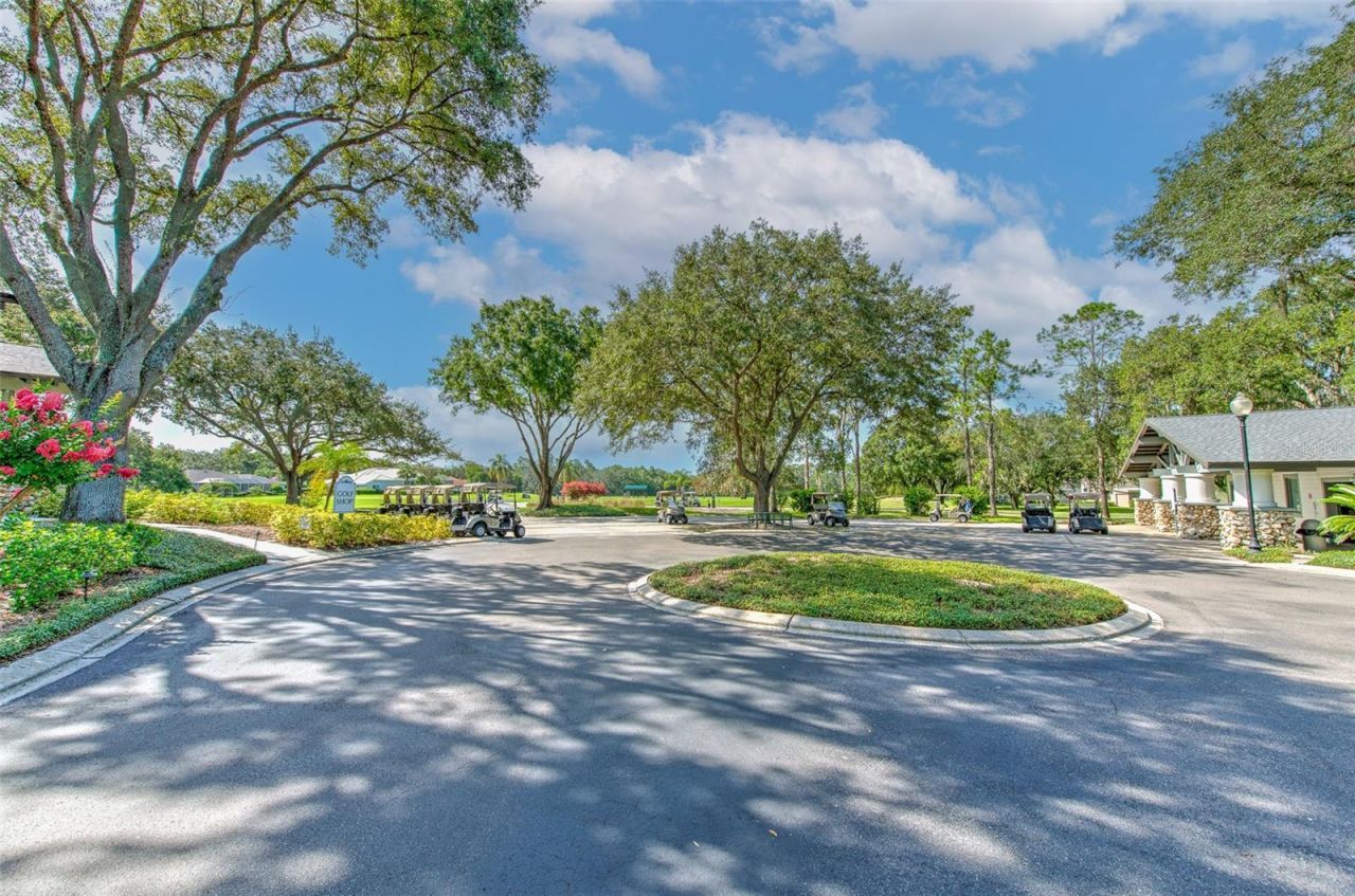 5207 Merion Rd, Valrico, FL 33596 Photo