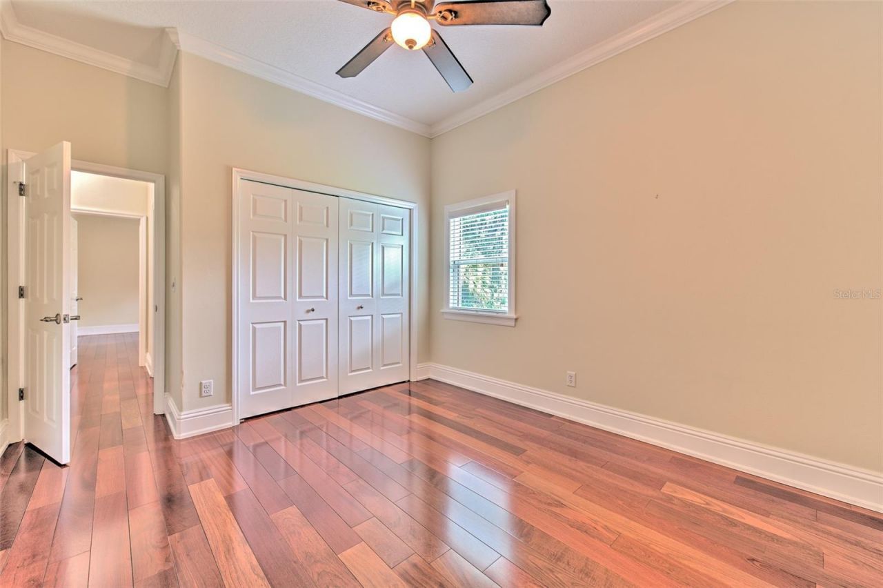5207 Merion Rd, Valrico, FL 33596 Photo
