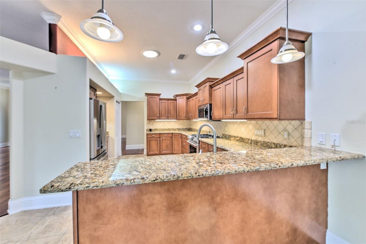 5207 Merion Rd, Valrico, FL 33596 Photo