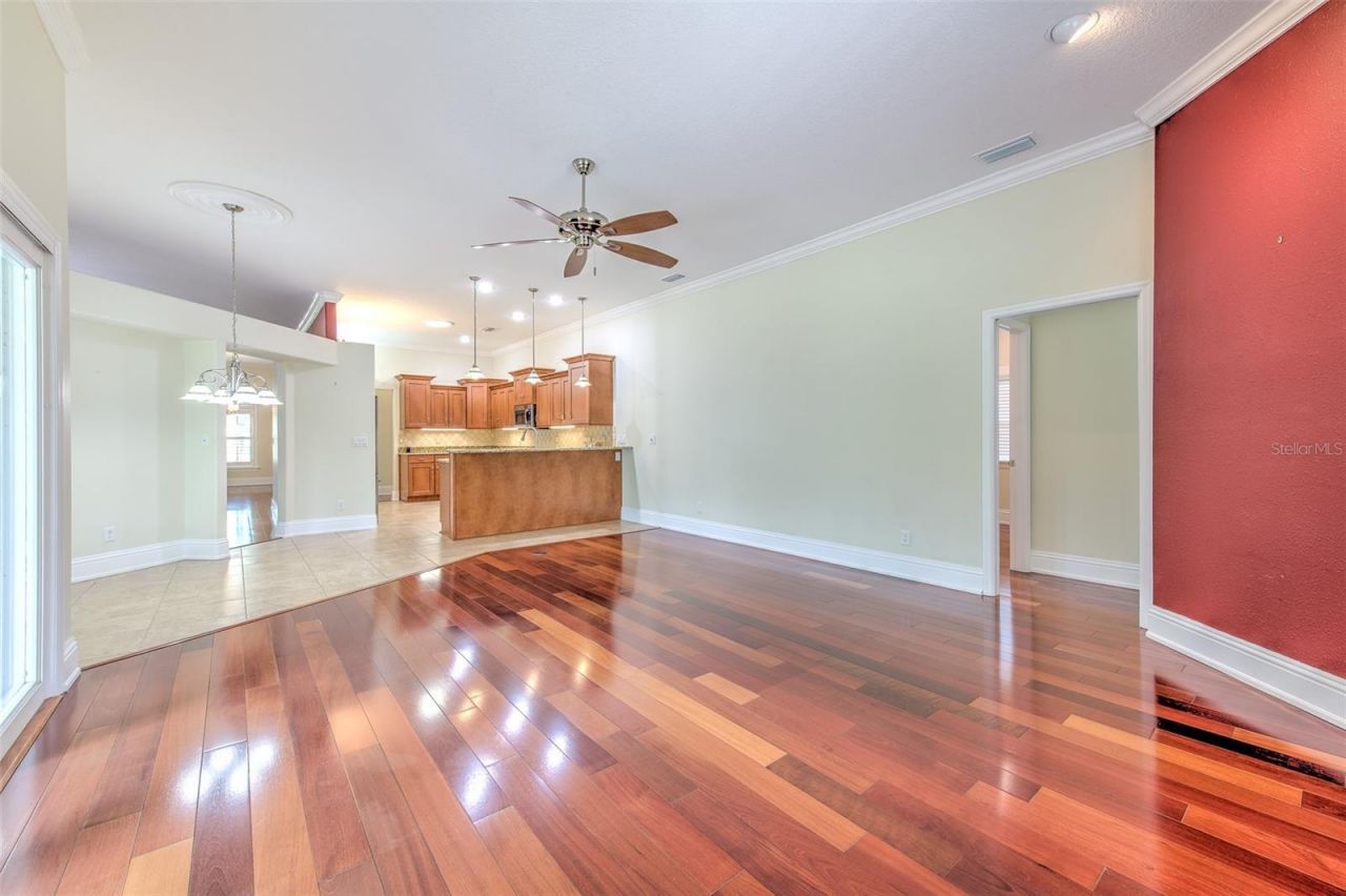 5207 Merion Rd, Valrico, FL 33596 Photo