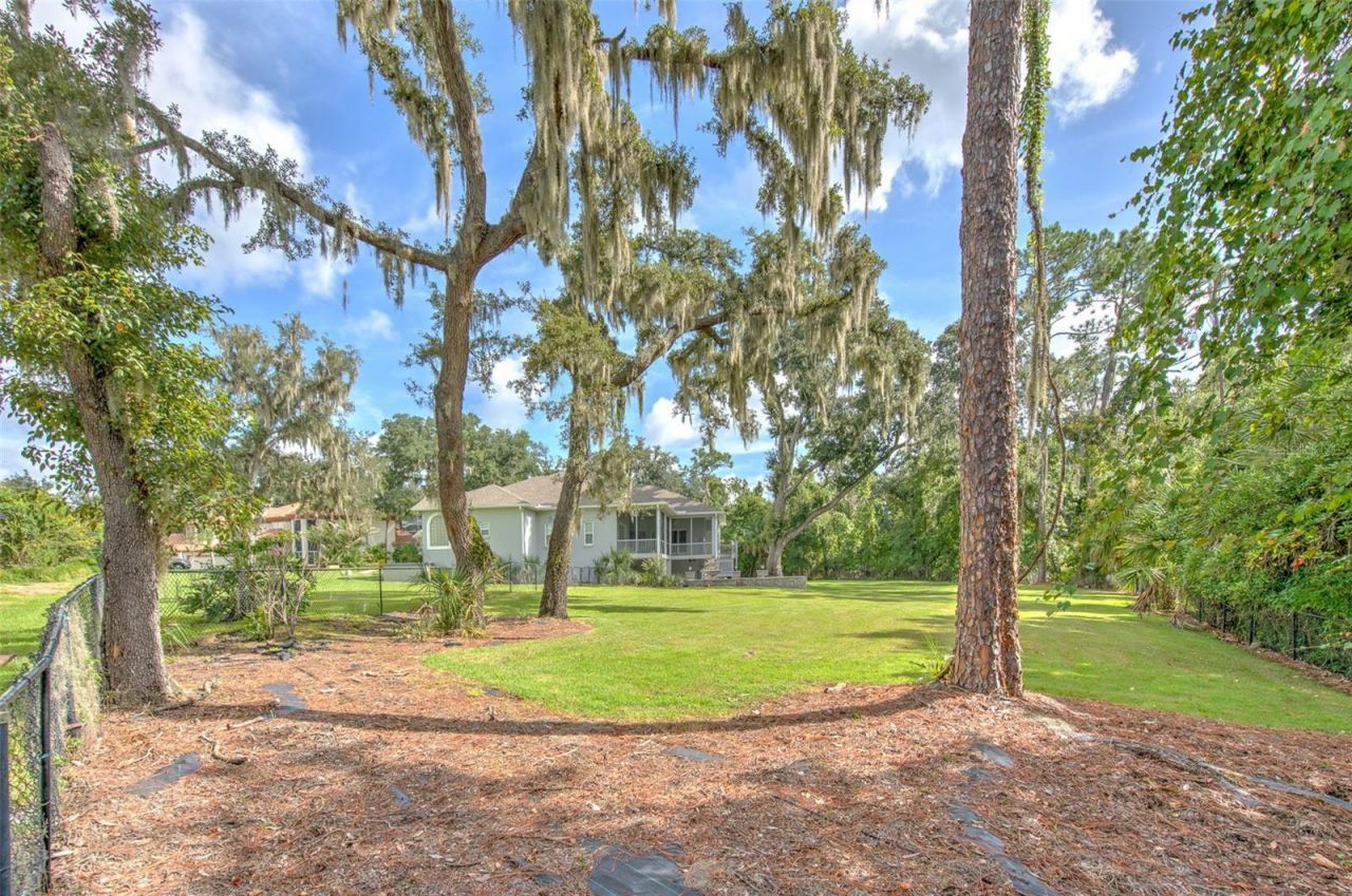 5207 Merion Rd, Valrico, FL 33596 Photo