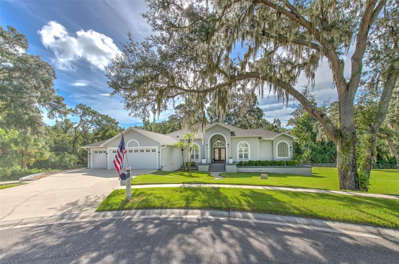 5207 Merion Rd, Valrico, FL 33596 Photo