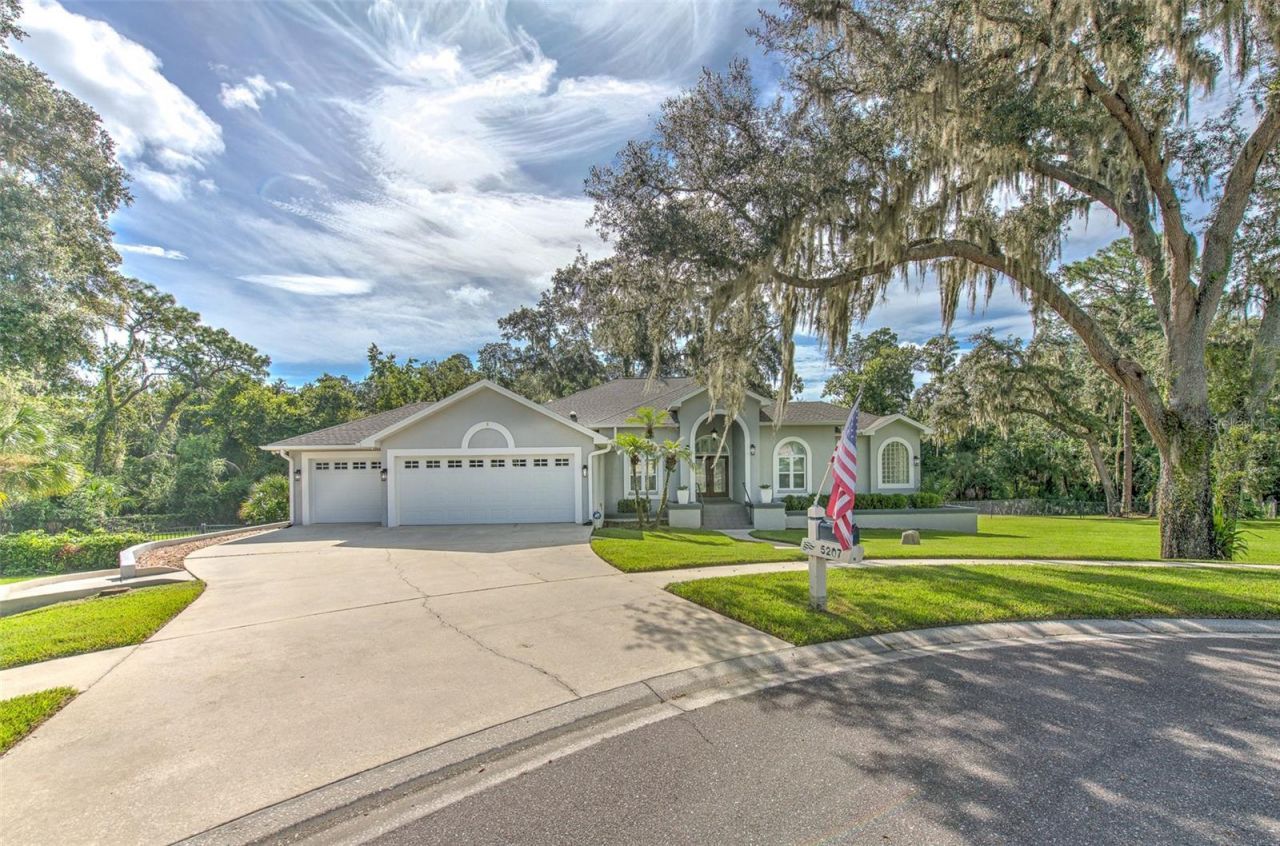5207 Merion Rd, Valrico, FL 33596 Photo