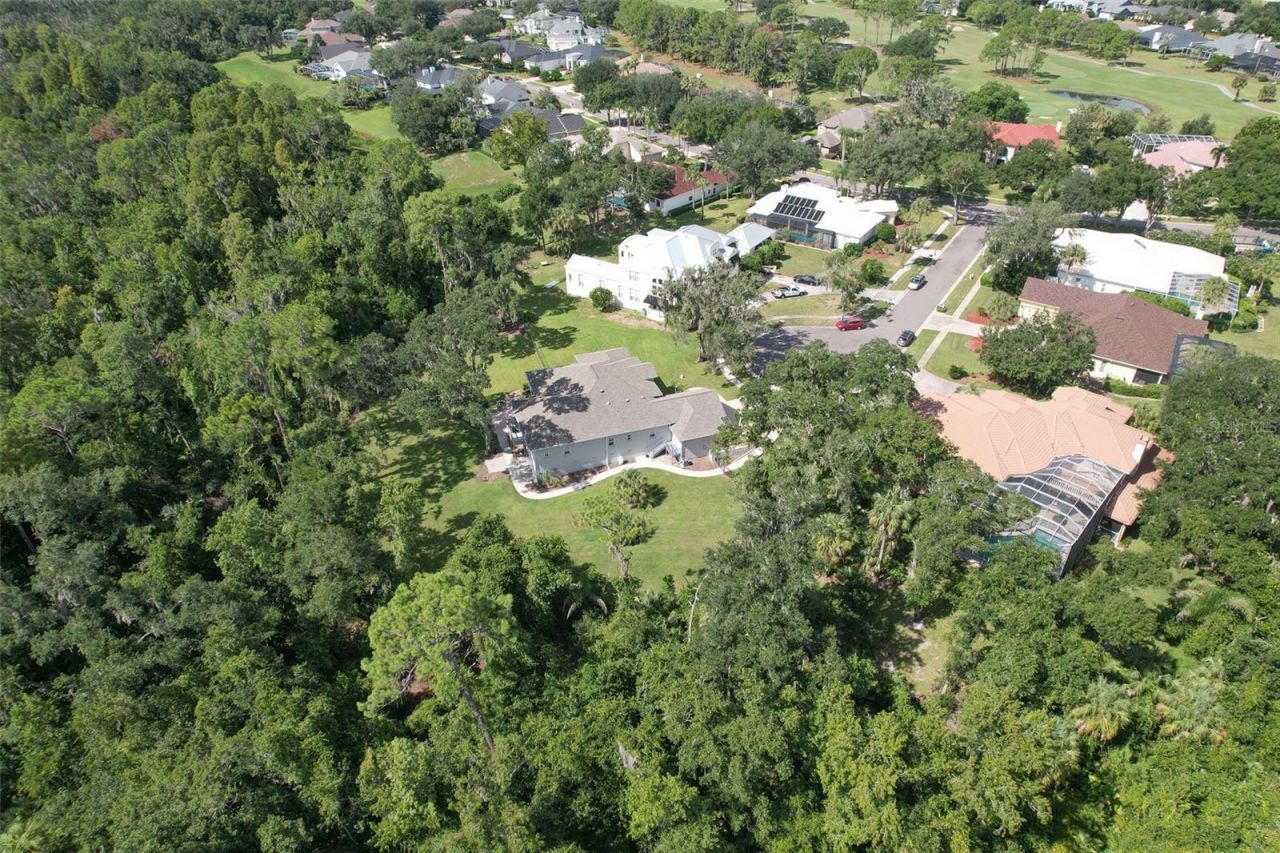 5207 Merion Rd, Valrico, FL 33596 Photo