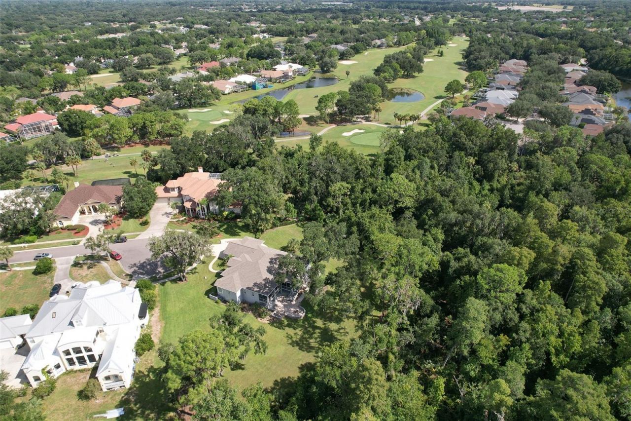 5207 Merion Rd, Valrico, FL 33596 Photo