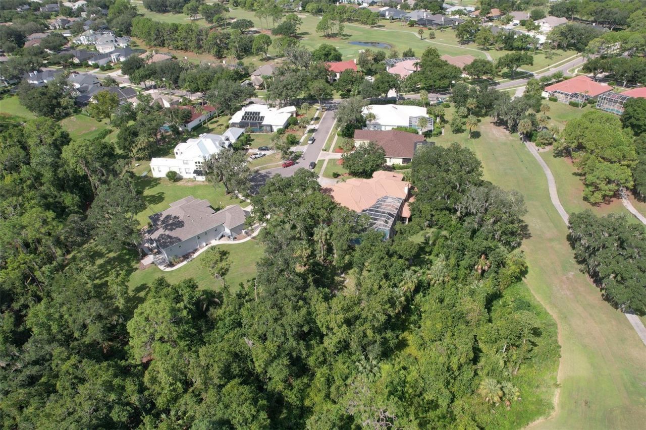 5207 Merion Rd, Valrico, FL 33596 Photo