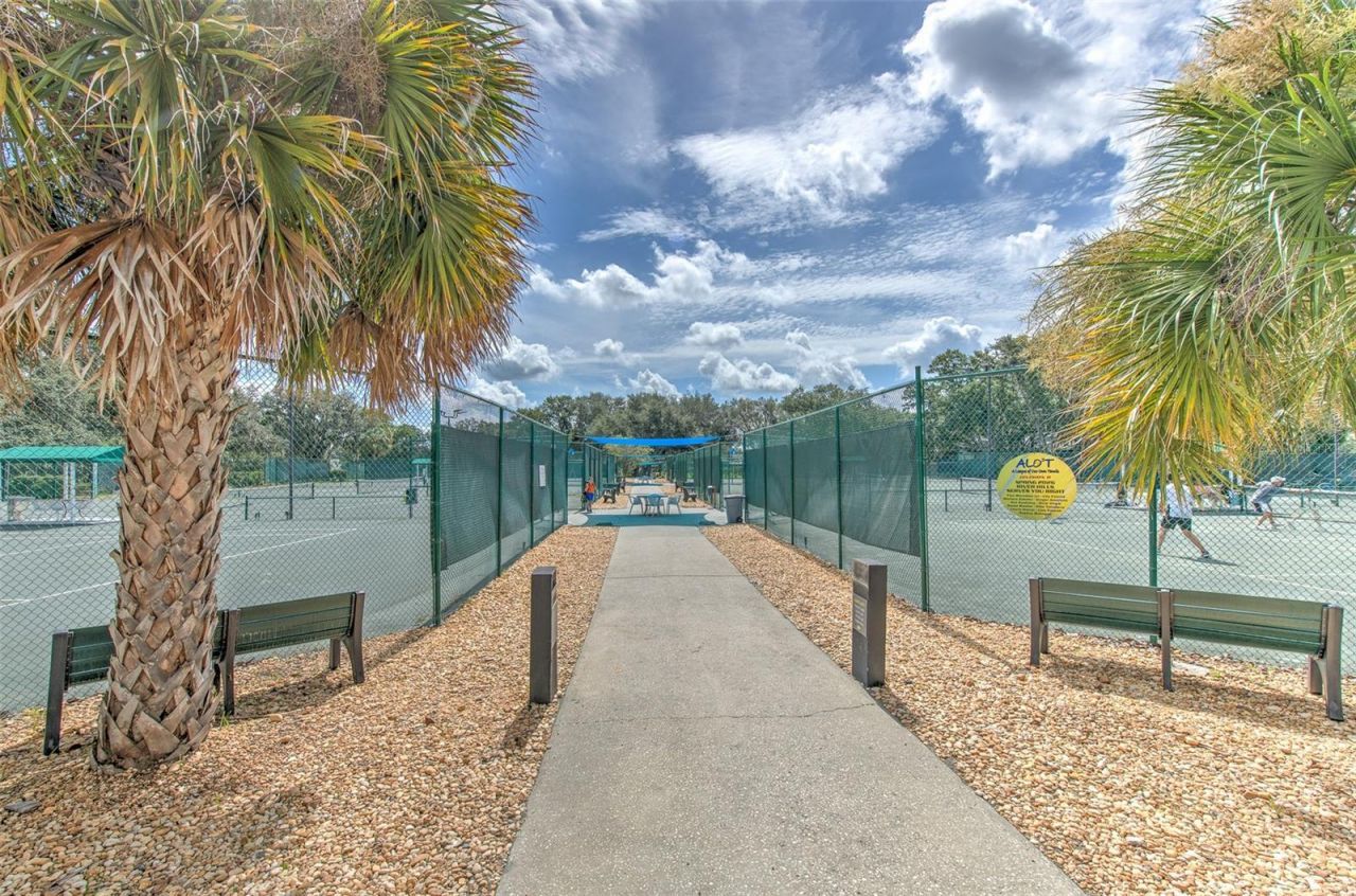 5207 Merion Rd, Valrico, FL 33596 Photo