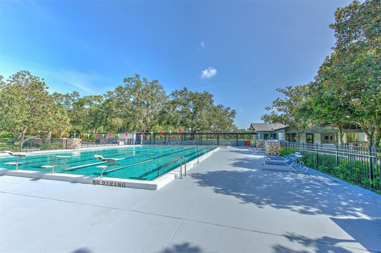 5207 Merion Rd, Valrico, FL 33596 Photo