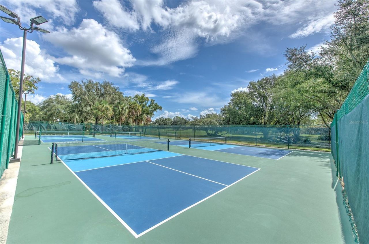 5207 Merion Rd, Valrico, FL 33596 Photo