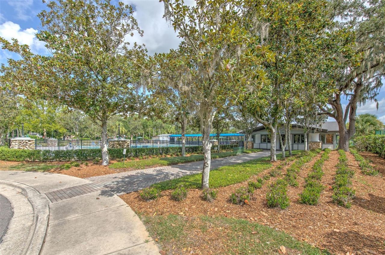 5207 Merion Rd, Valrico, FL 33596 Photo