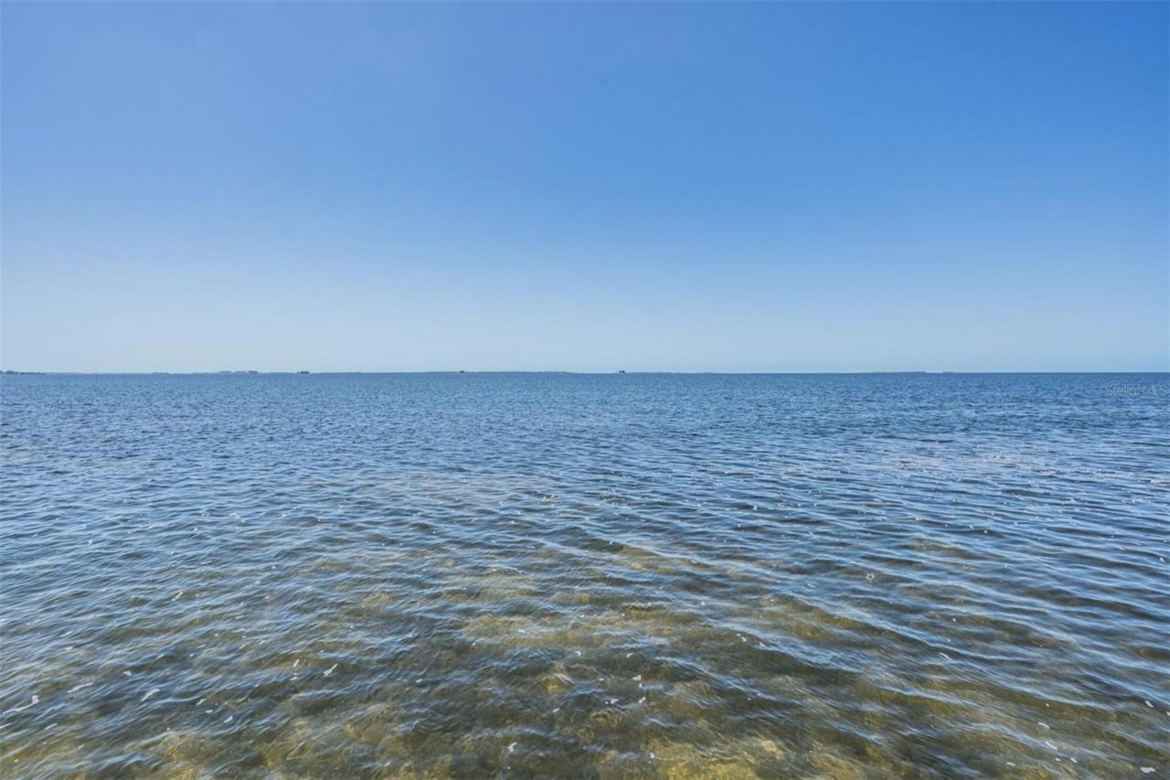 128 Carlyle Drive, Palm Harbor, FL 34683 Photo