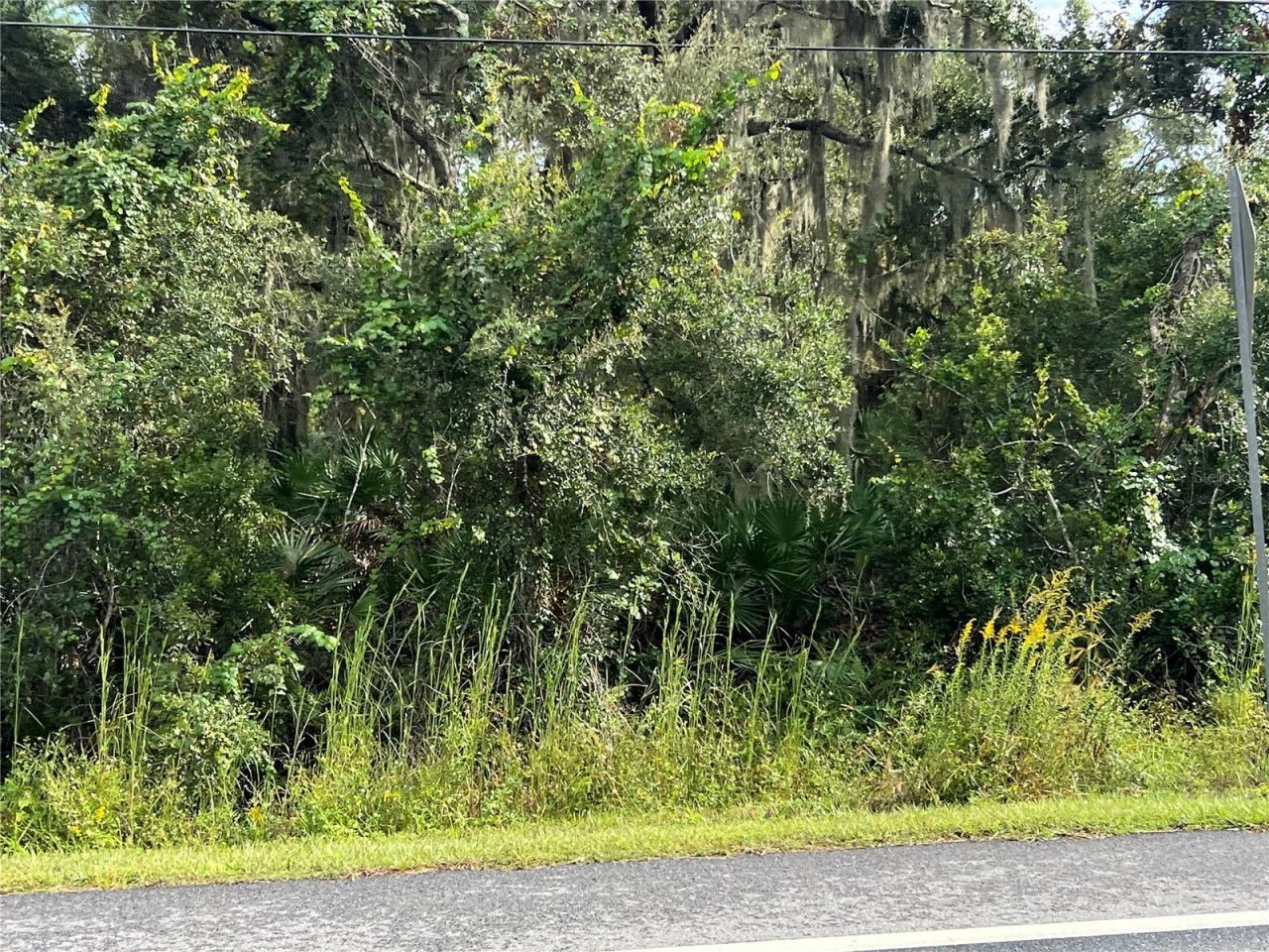 County Road 48, Yalaha, FL 34797 Photo