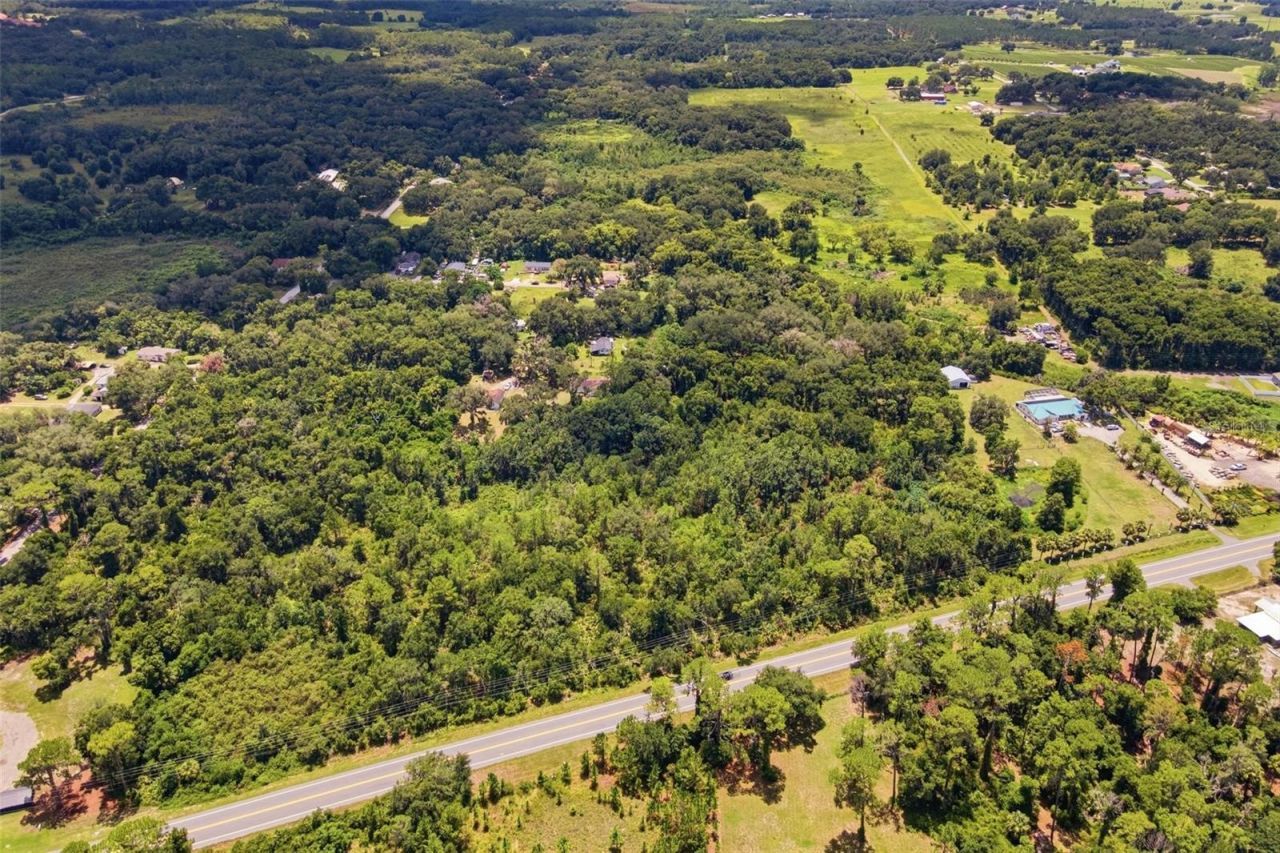 County Road 48, Yalaha, FL 34797 Photo