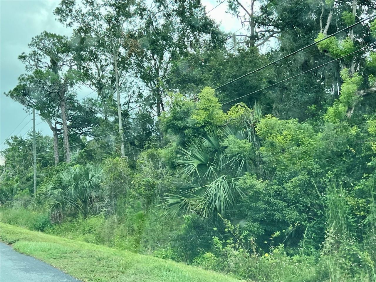 County Road 48, Yalaha, FL 34797 Photo