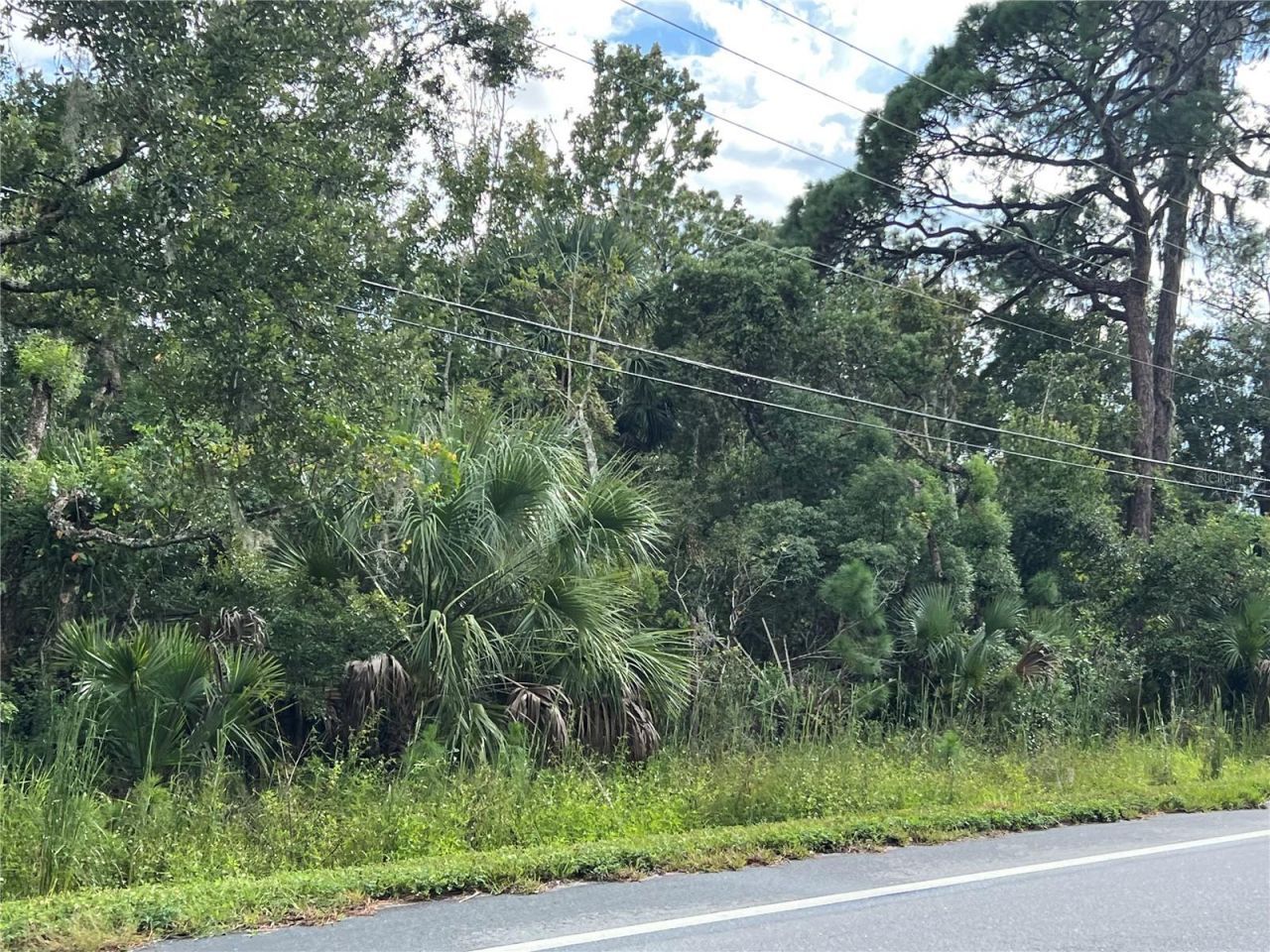 County Road 48, Yalaha, FL 34797 Photo