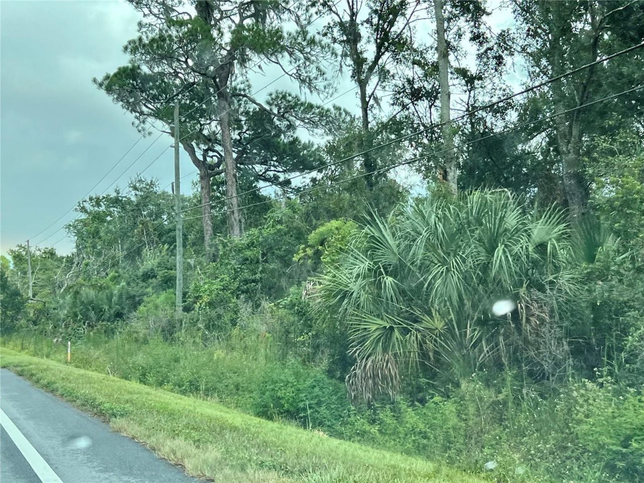 County Road 48, Yalaha, FL 34797 Photo