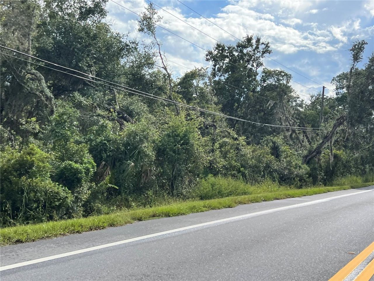 County Road 48, Yalaha, FL 34797 Photo