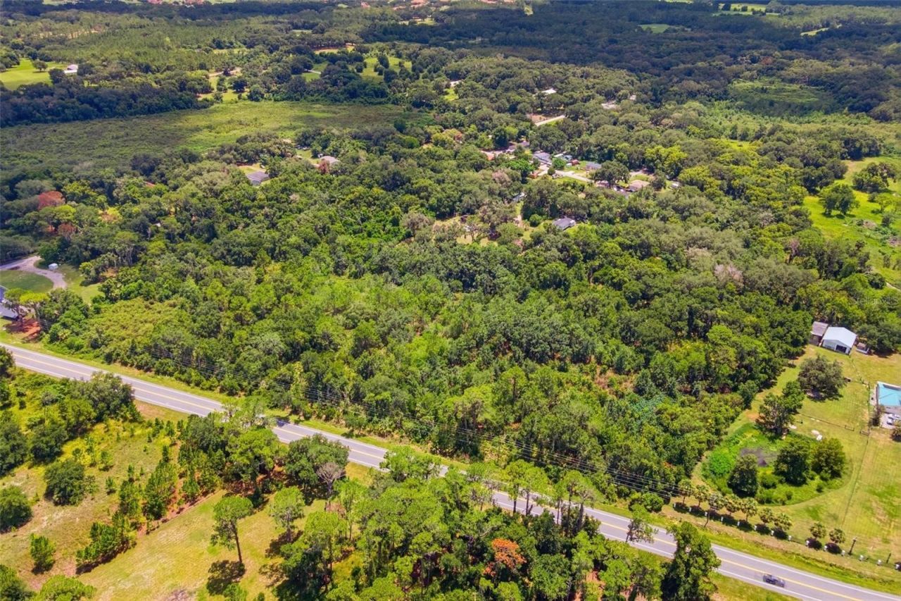 County Road 48, Yalaha, FL 34797 Photo