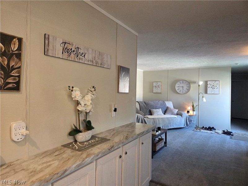 10039 State Route 700, Unit 28, Mantua, OH 44255 Photo 17