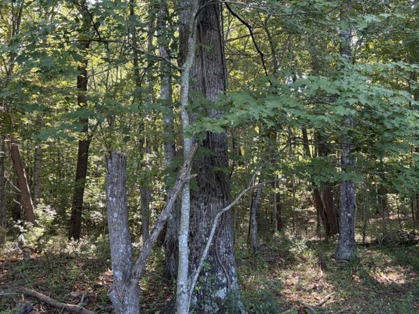 0 Julia Simpkins RD , Hiwassee, VA 24347