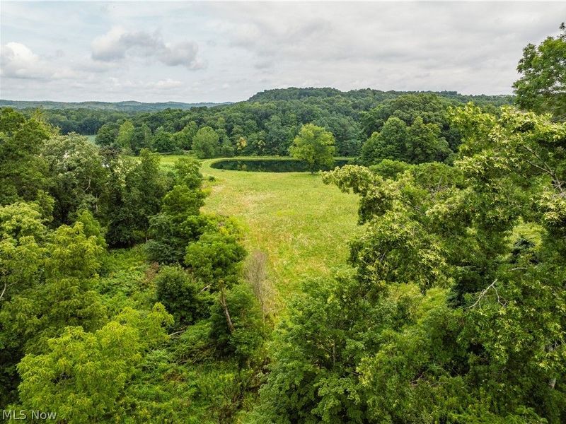 2428 Applegate Road, Lucas, OH 44843 Photo 10