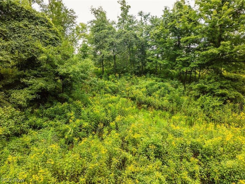 2428 Applegate Road, Lucas, OH 44843 Photo 11