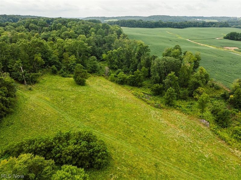 2428 Applegate Road, Lucas, OH 44843 Photo 6