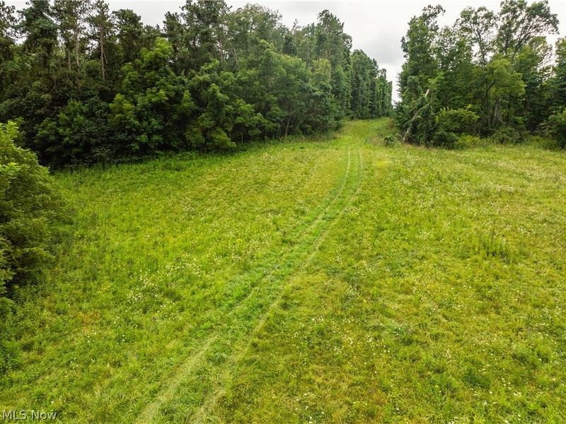 2428 Applegate Road, Lucas, OH 44843 Photo 7
