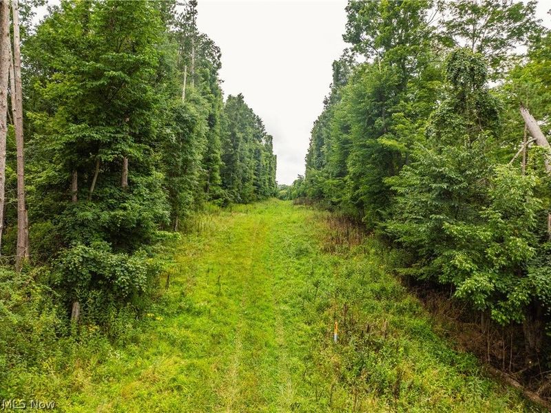 2428 Applegate Road, Lucas, OH 44843 Photo 8