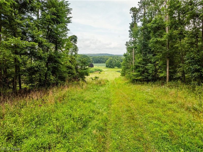 2428 Applegate Road, Lucas, OH 44843 Photo 9