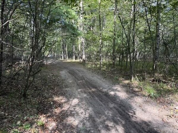 V/L Timber Trail, Prescott, MI 48756