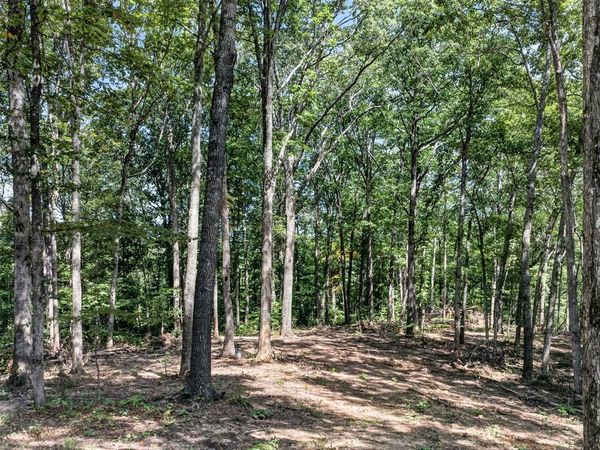 Lot 40 Pioneer Trl Ln, Crawford, TN 38554