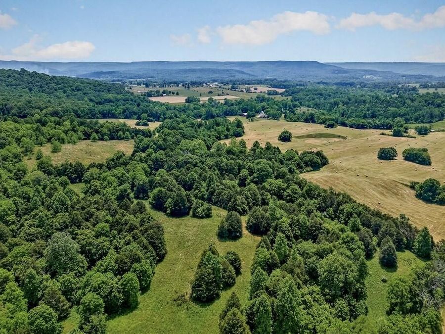 Property Image 36