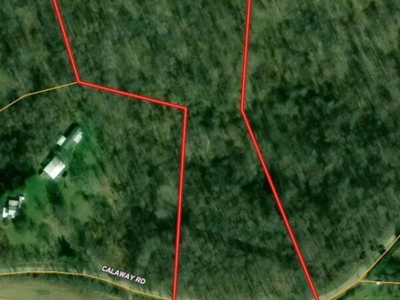 42457 Calaway Road , Coolville, OH 45723 Photo 27