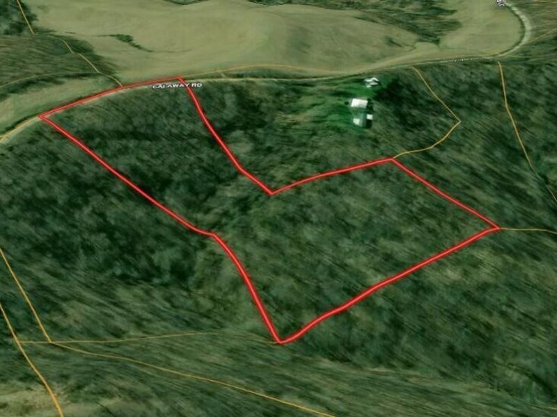 42457 Calaway Road , Coolville, OH 45723 Photo 28