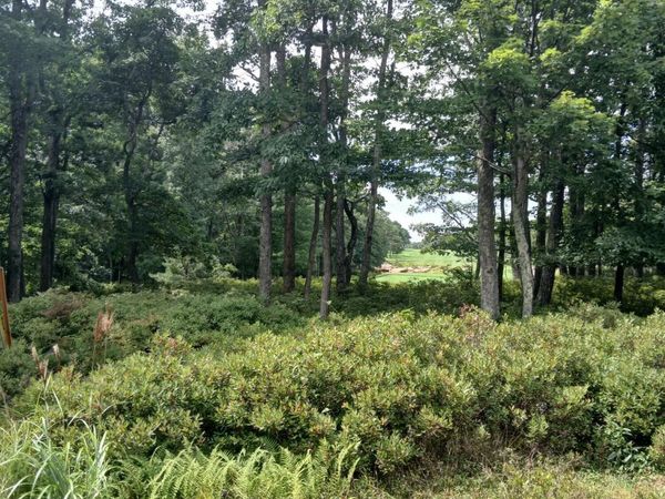 031 Winged Foot Drive, Hazle Twp, PA 18202