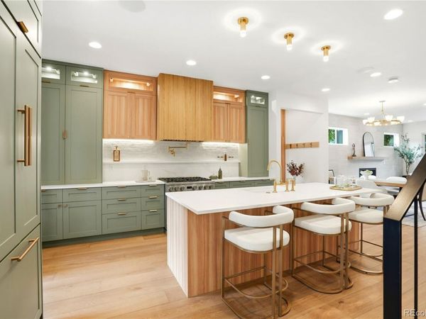 245 S Emerson Street, Denver, CO 80209