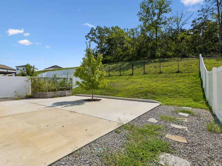 Property Image 50