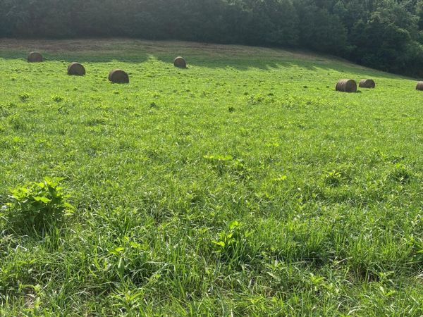 lot 2 McBride Road, Morristown, TN 37814